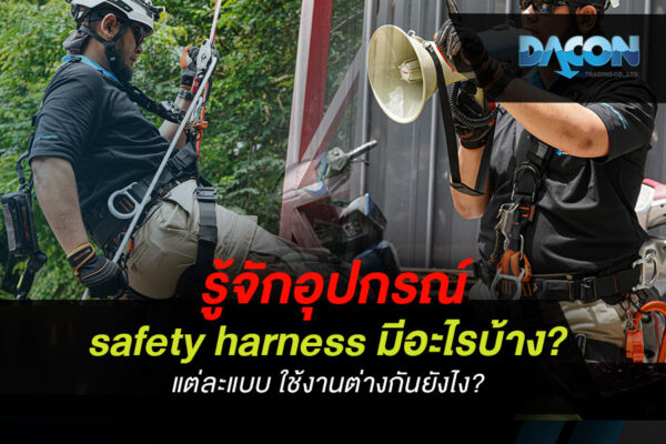 รู้จักอุปกรณ์ safety harness มีอะไรบ้าง? แต่ละแบบ ใช้งานต่างกันยังไง?